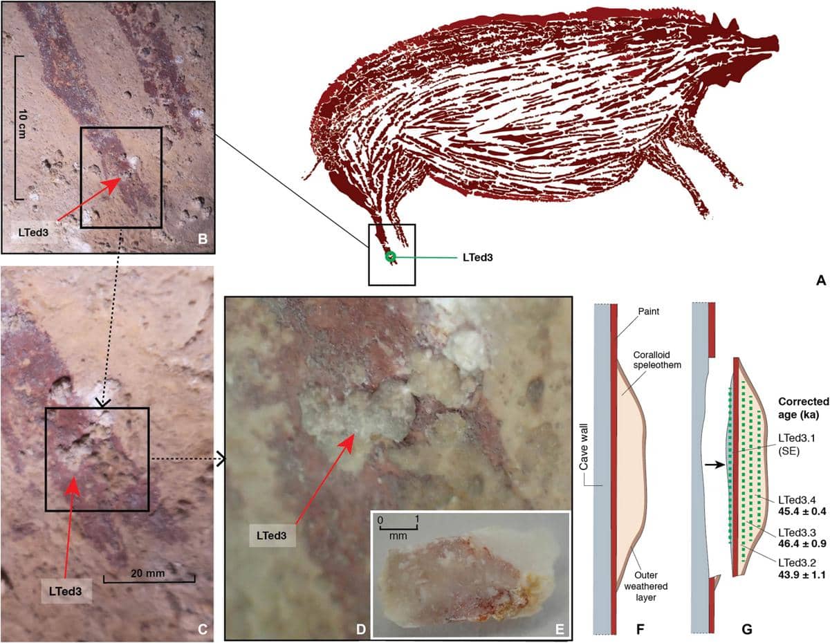 Penanggalan seri U pada figur babi (babi 1) di Leang Tedongnge.