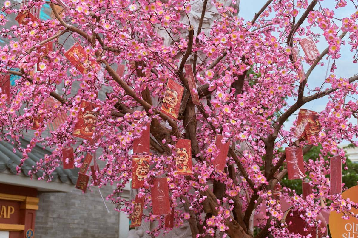 ilustrasi gantungan angpo mini di pohon mei hwa 