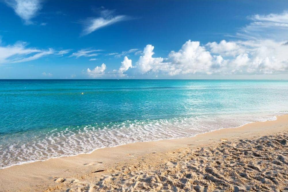 ilustrasi gelombang laut di pantai