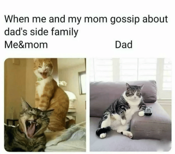 meme tentang keluarga ayah