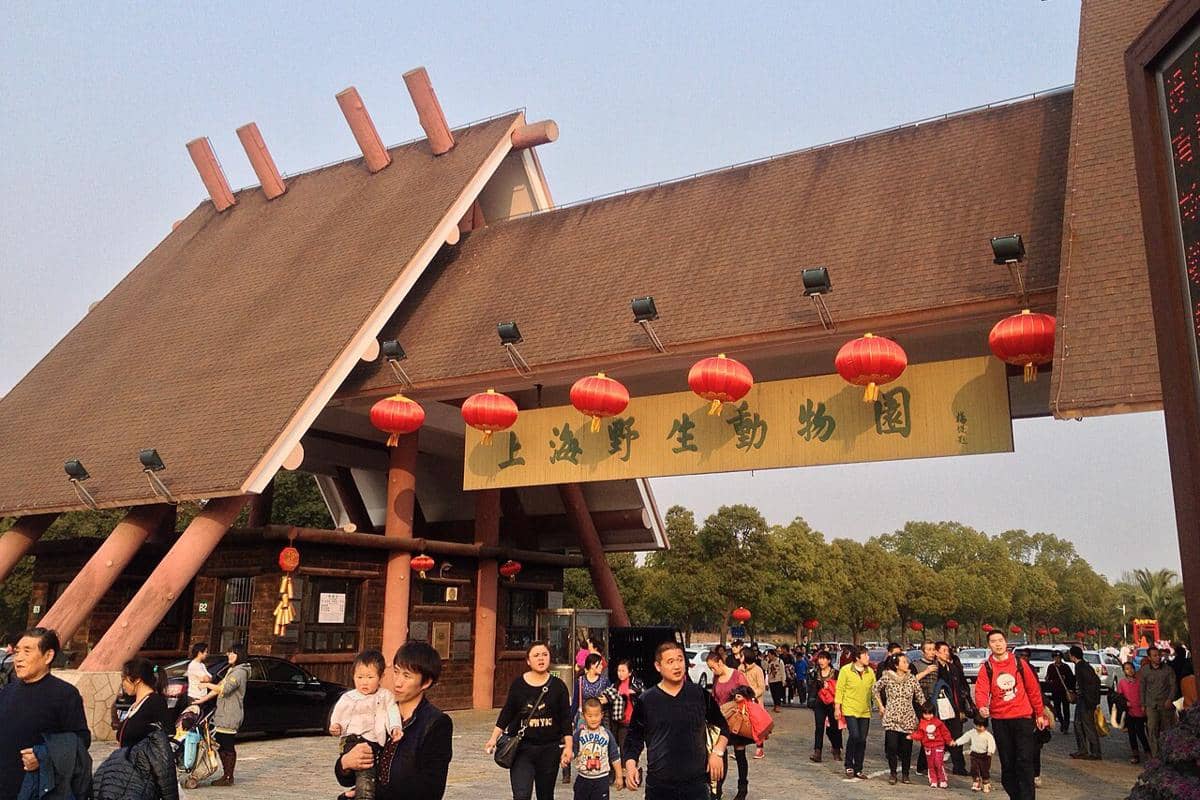 potret Shanghai Wild Animal Park