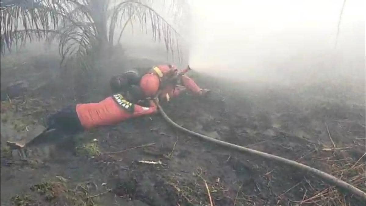 Saat petugas pemadam berjibaku padamkan api.