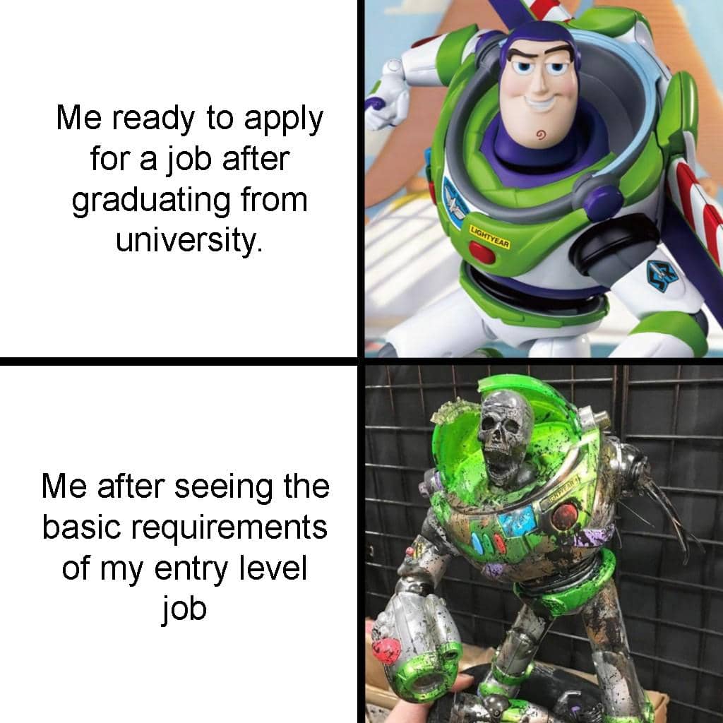 meme kartun tentang fresh graduate