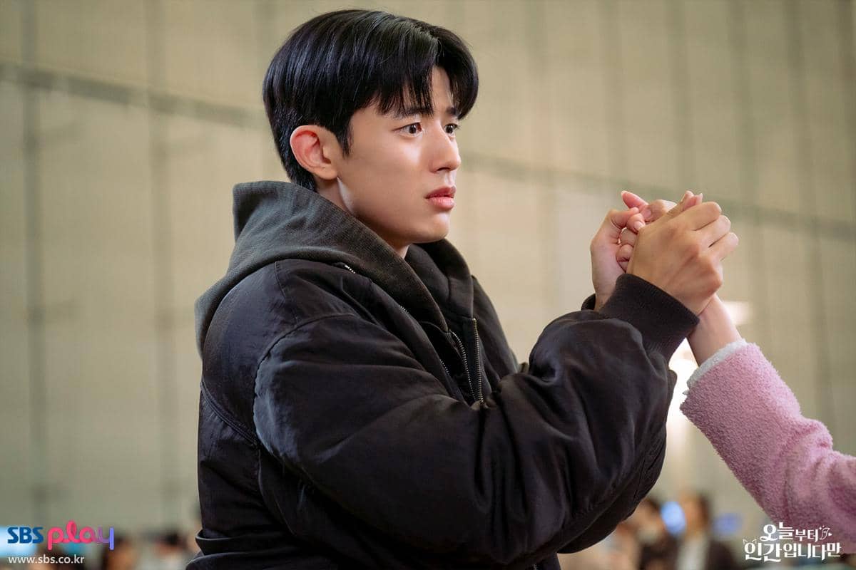 still cuts drama No Tail to Tell