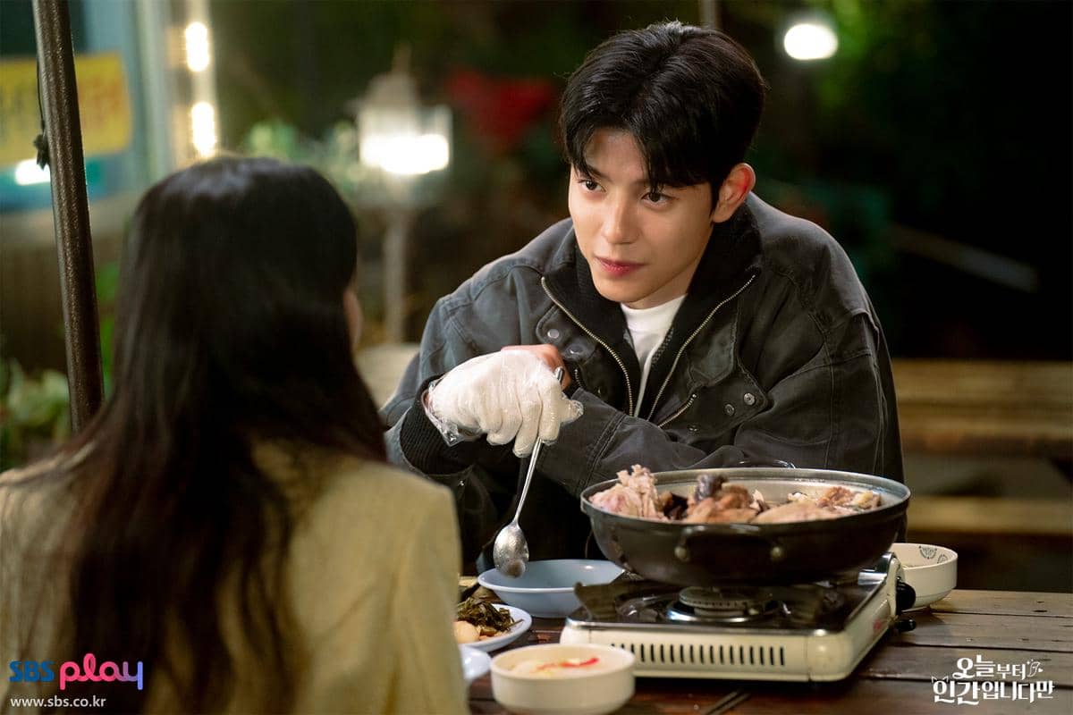 still cuts drama No Tail to Tell