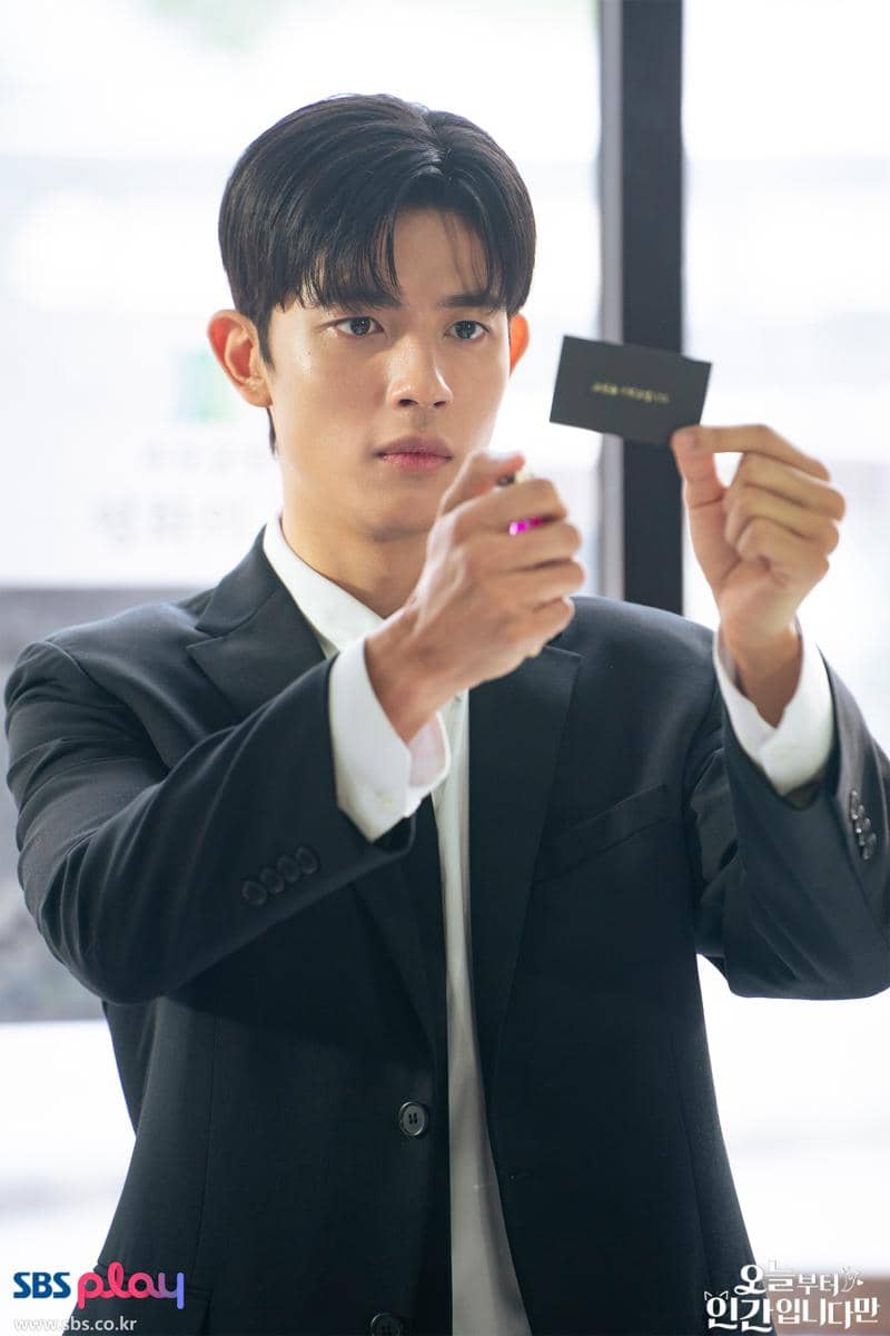 still cuts drama No Tail to Tell