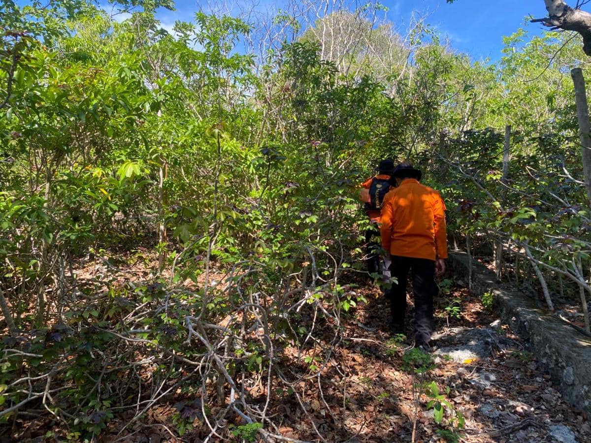 Tim SAR mencari seorang pria lansia yang dilaporkan tersesat di daerah perkebunan Alasa, Desa Tanete, Kecamatan Bontomatene, Kabupaten Kepulauan Selayar. (Dok. Basarnas Makassar)