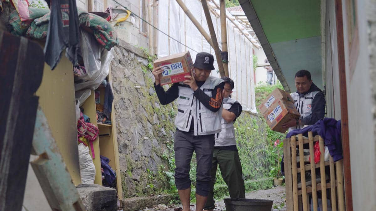 WhatsApp Image 2026-01-31 at 9.16.52 AM (1).jpeg