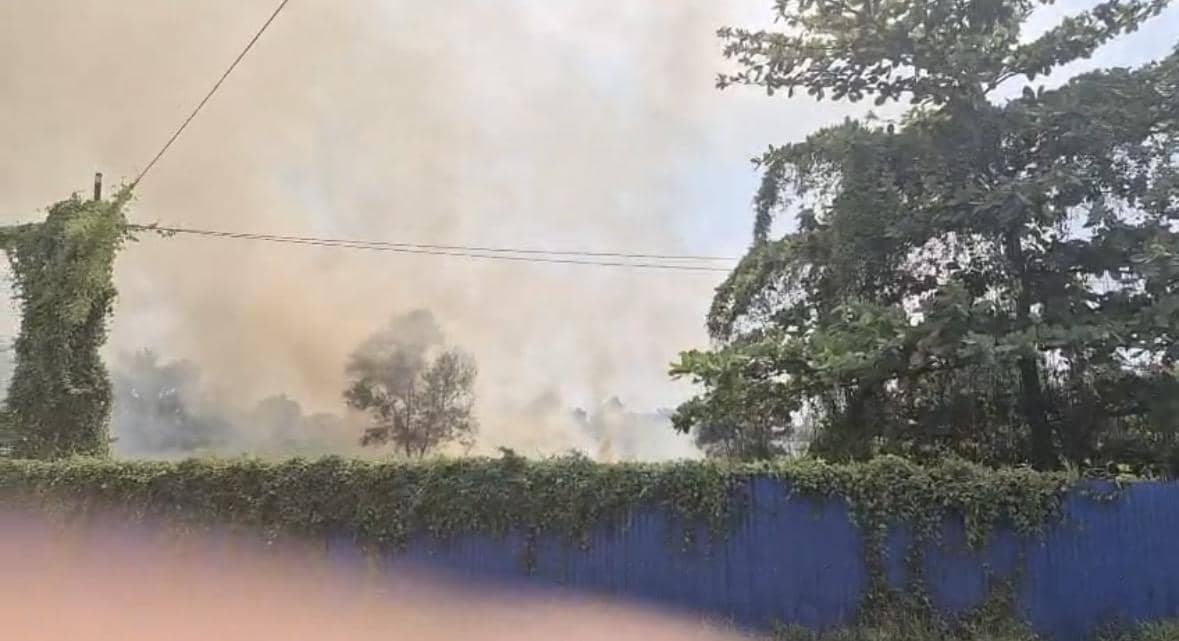 Kebakaran lahan terjadi di kawasan kota Pontianak.