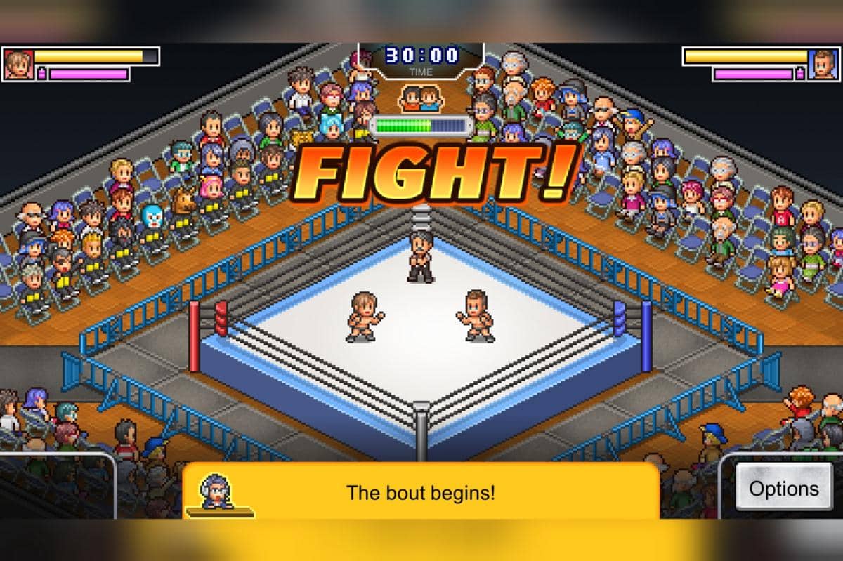 gameplay Pro Wrestler Story