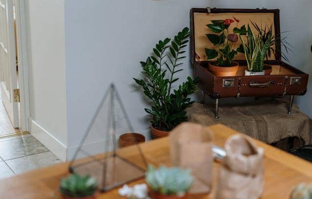 ilustrasi furniture rumah 