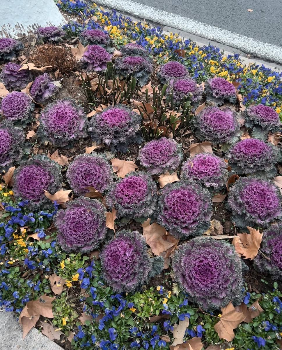 Angela Gilsha saat jalan-jalan di Nanjing