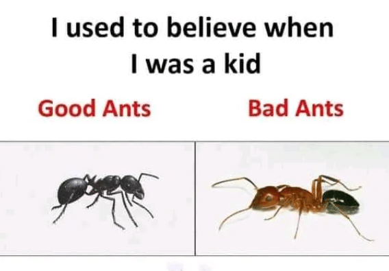 meme tentang semut 