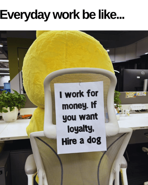 meme loyalitas di tempat kerja