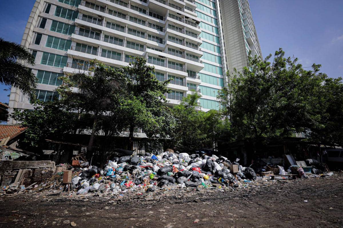 WhatsApp Image 2026-01-31 at 13.33.02.jpeg