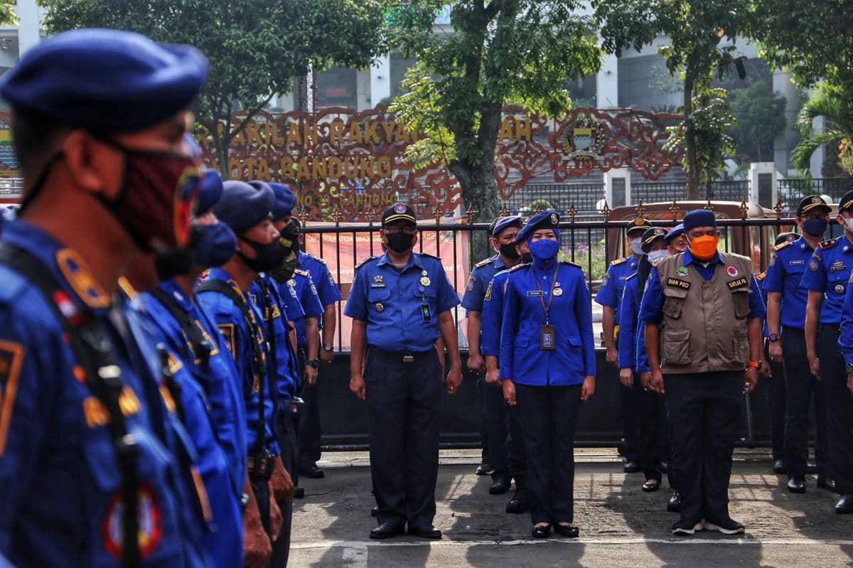 WhatsApp Image 2026-01-31 at 18.38.52.jpeg