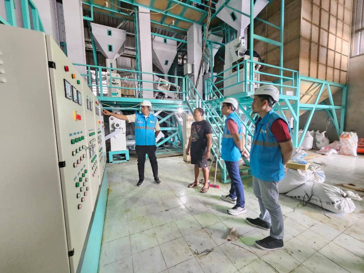 IMAGE ARTICLE PLN 2  (1).jpeg