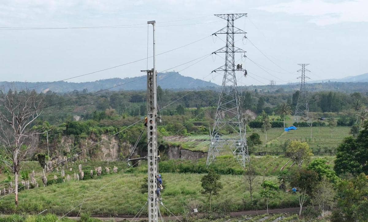 IMAGE ARTICLE PLN - 3 (3).jpeg