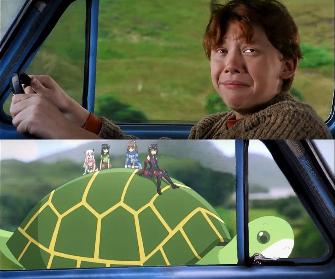 meme anime tentang kura-kura