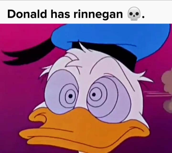 meme anime tentang bebek