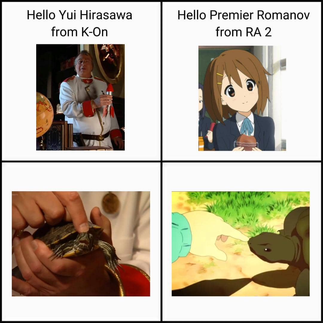 meme anime tentang kura-kura
