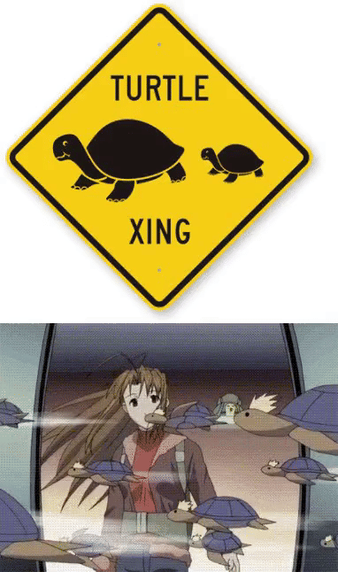 meme anime tentang kura-kura