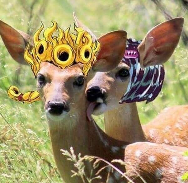 meme anime tentang rusa