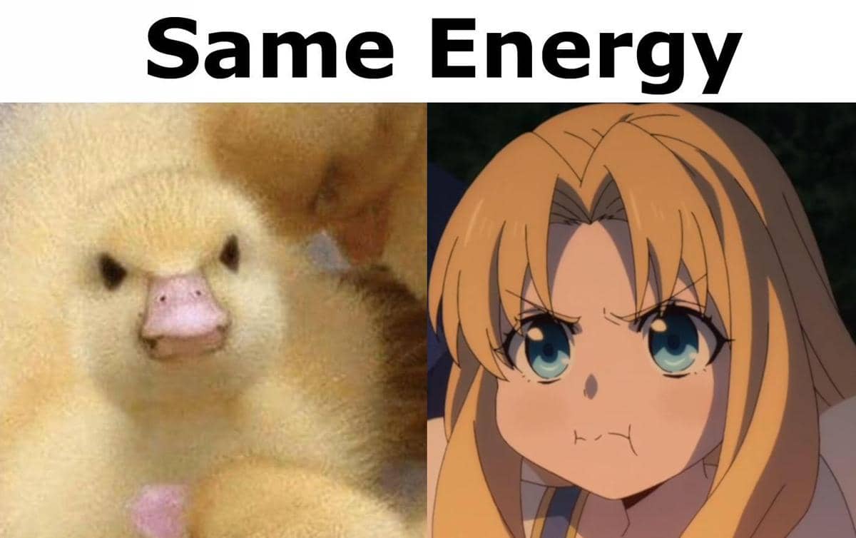 meme anime tentang bebek