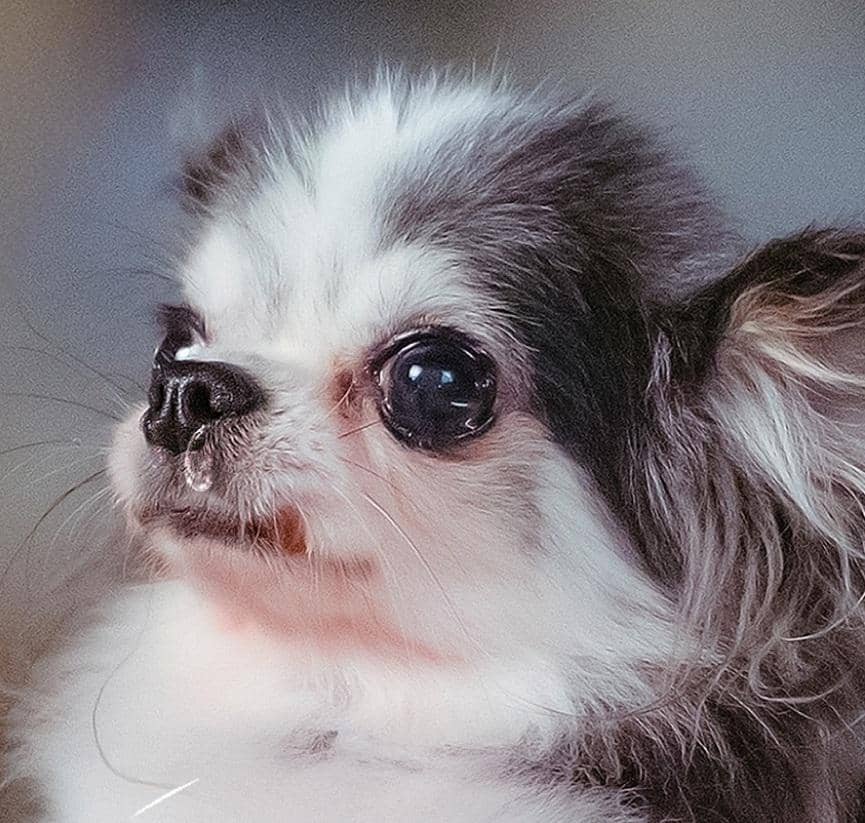 still cut drama Korea Spring Fever