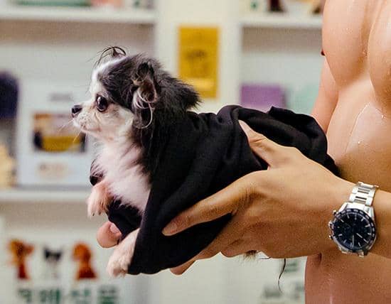 still cut drama Korea Spring Fever