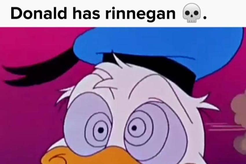 meme anime tentang bebek