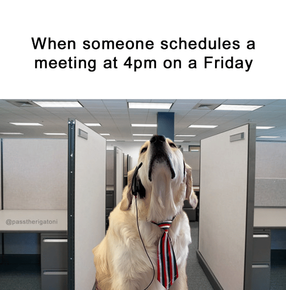 meme rapat di tempat kerja