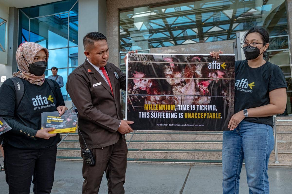 Aktivis Soroti Tenggat Komitmen Telur Bebas Sangkar Millennium (Dok. IDN Times)