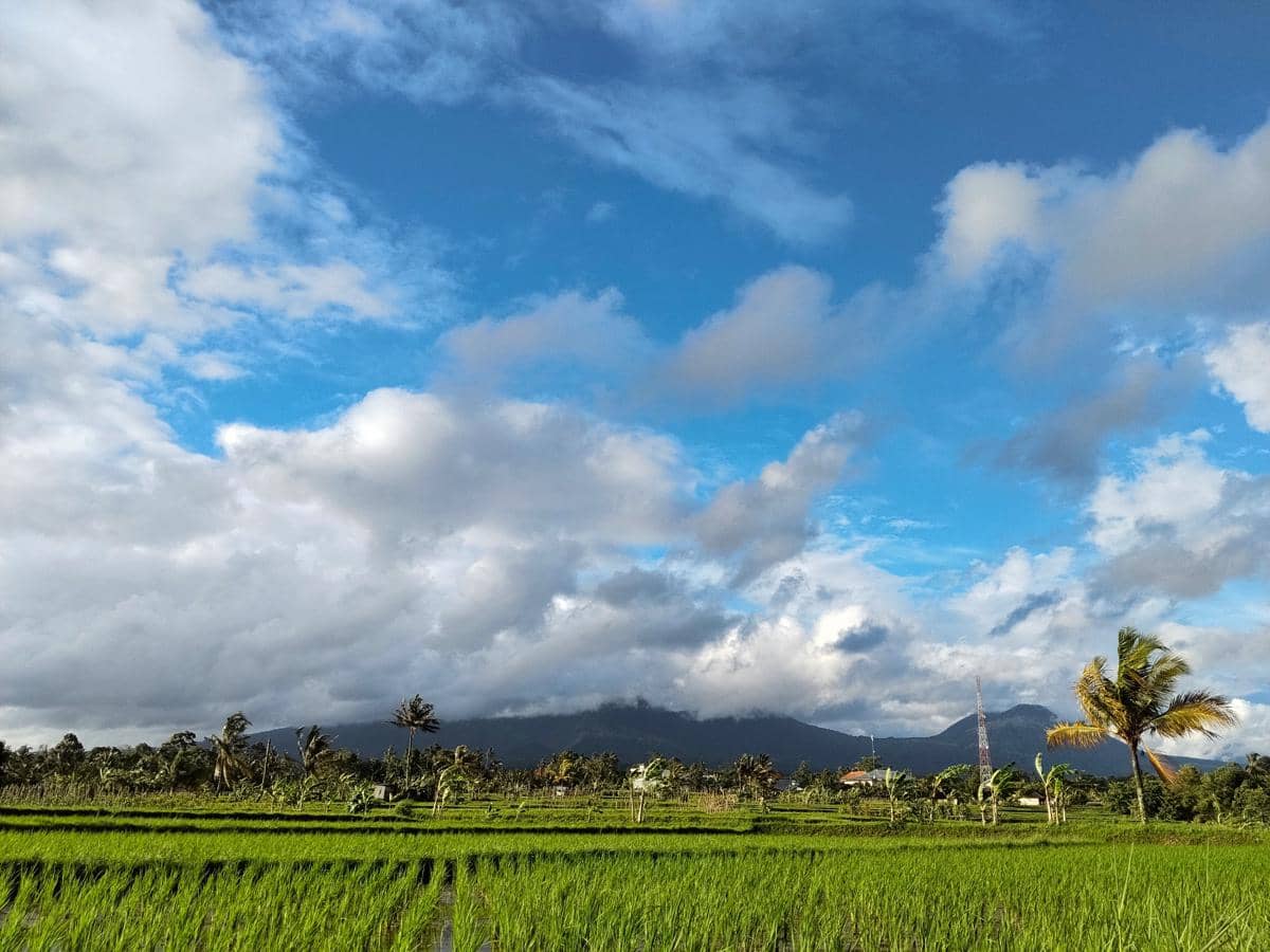 Cuaca di Bali 4 Juni 2026