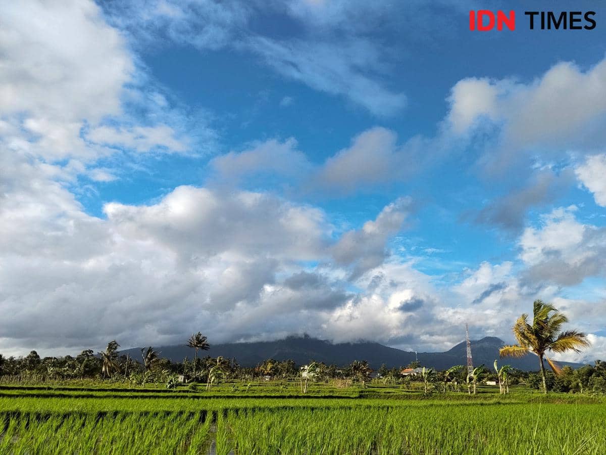 Cuaca 7 Maret 2026 di Bali, BMKG Prediksi Cerah Berawan