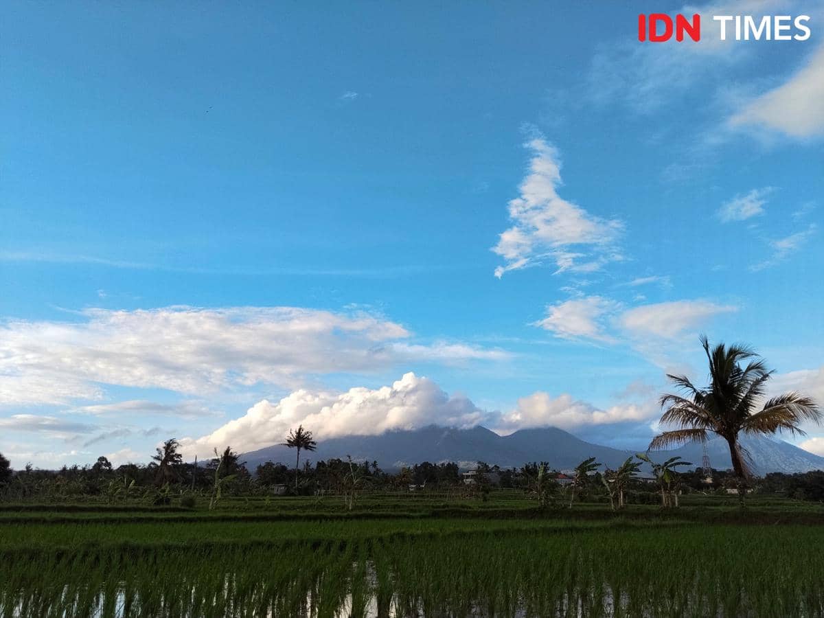 Pelukis Masa Depan di Bali Berpotensi Kehilangan Objek Utama Alam