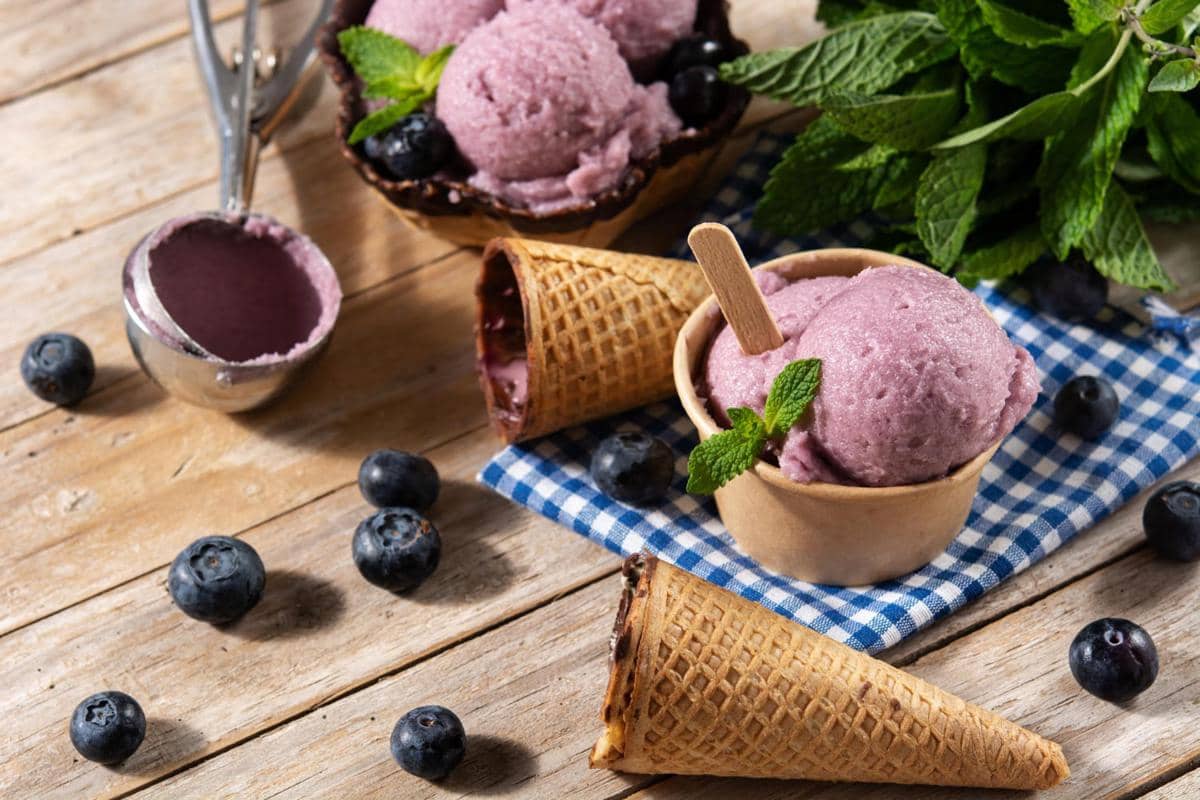 ilustrasi sajian blueberry sorbet