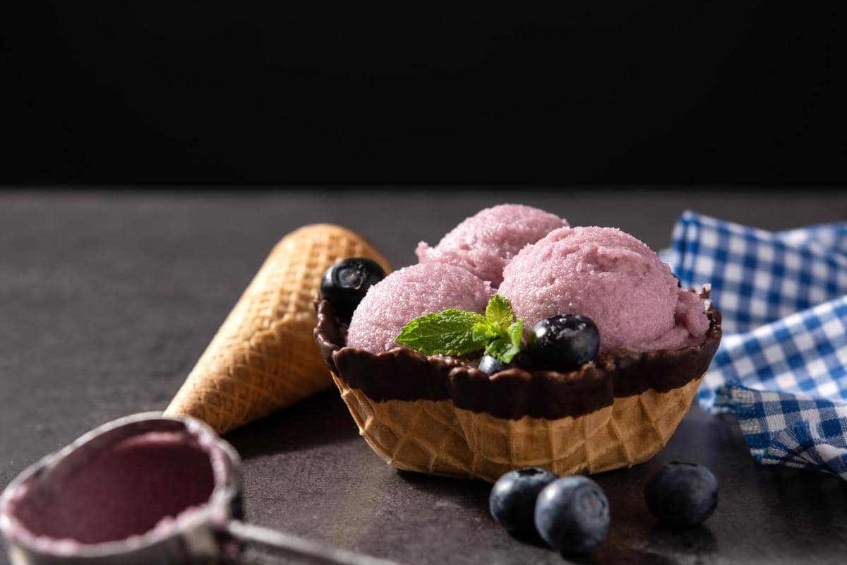 ilustrasi blueberry sorbet