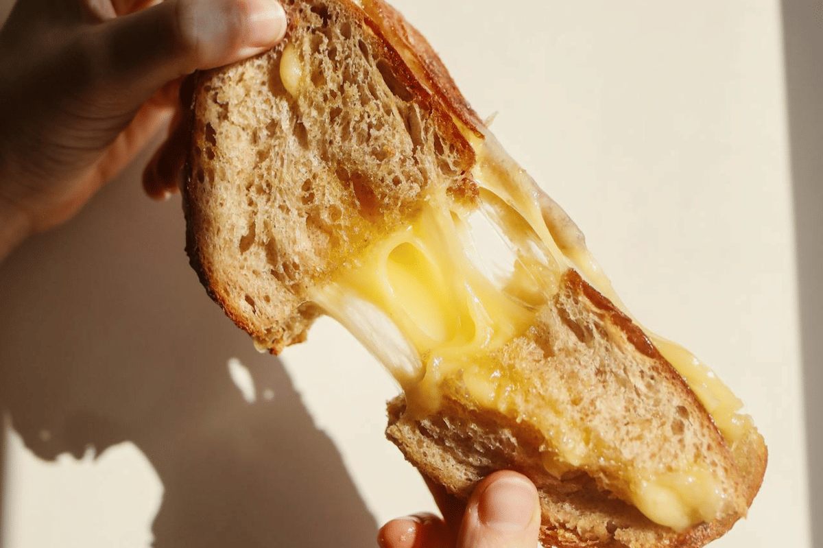 ilustrasi chicken toastie