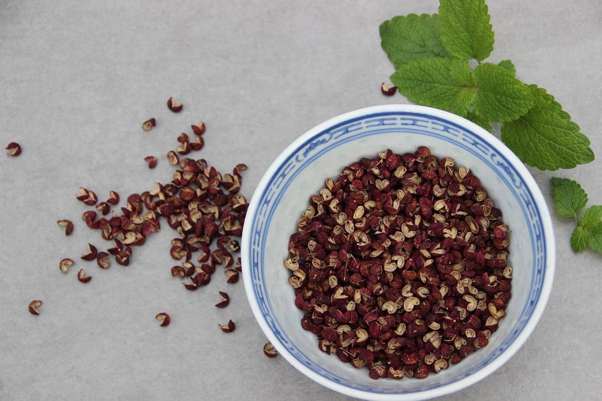 ilustrasi Sichuan pepper 