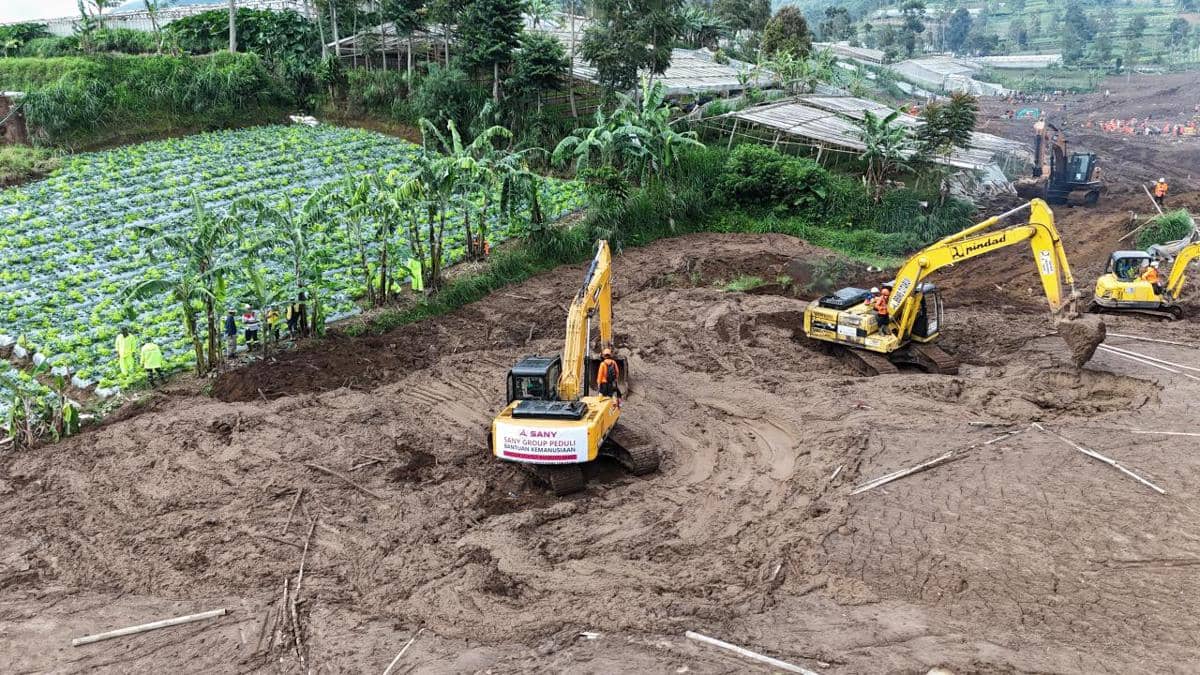 WhatsApp Image 2026-02-03 at 9.15.07 AM.jpeg