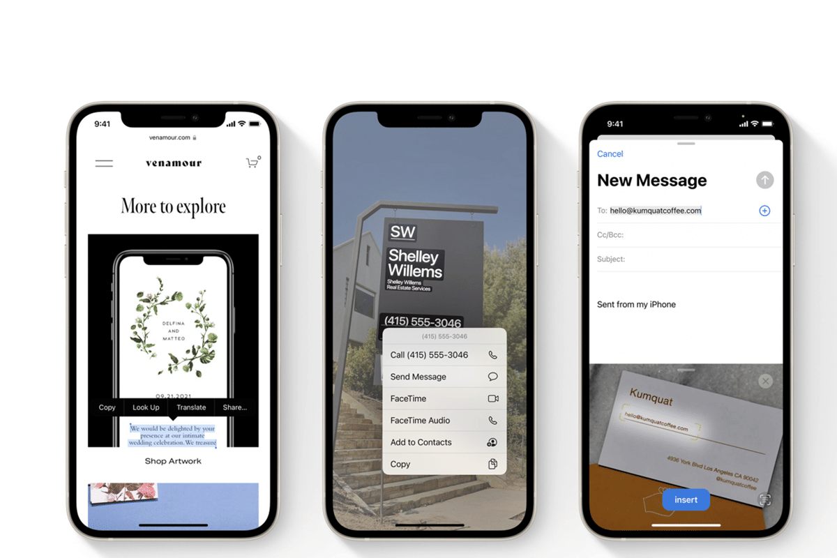 Live Text dapat memindai informasi langsung dari sebuah foto