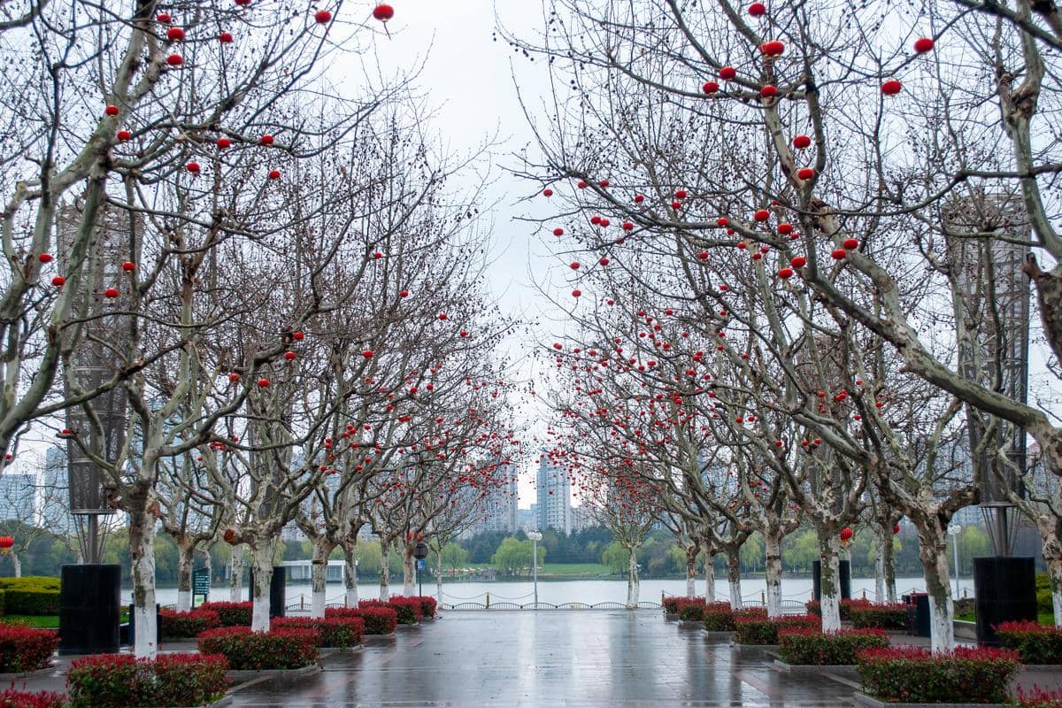 potret area Century Park (commons.wikimedia.org/Heinz-Vale)