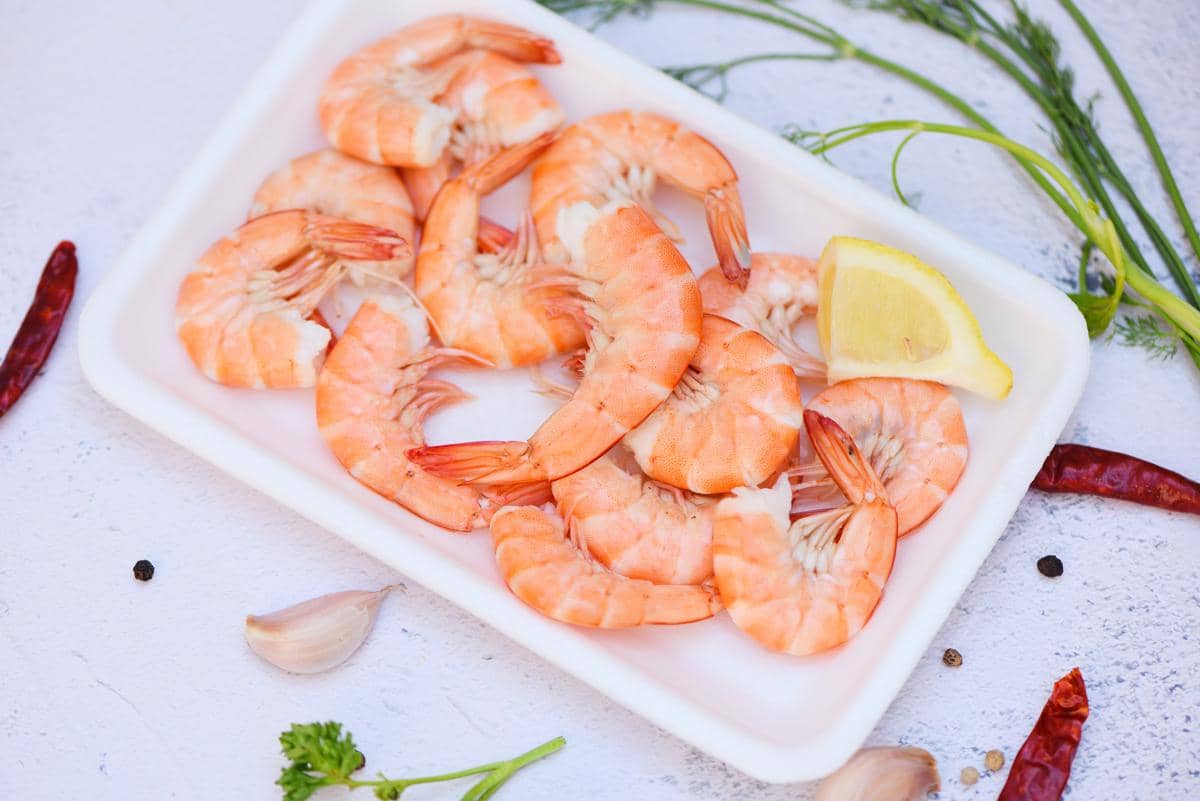 ilustrasi udang segar