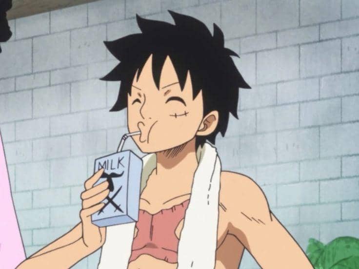 Luffy meminum susu