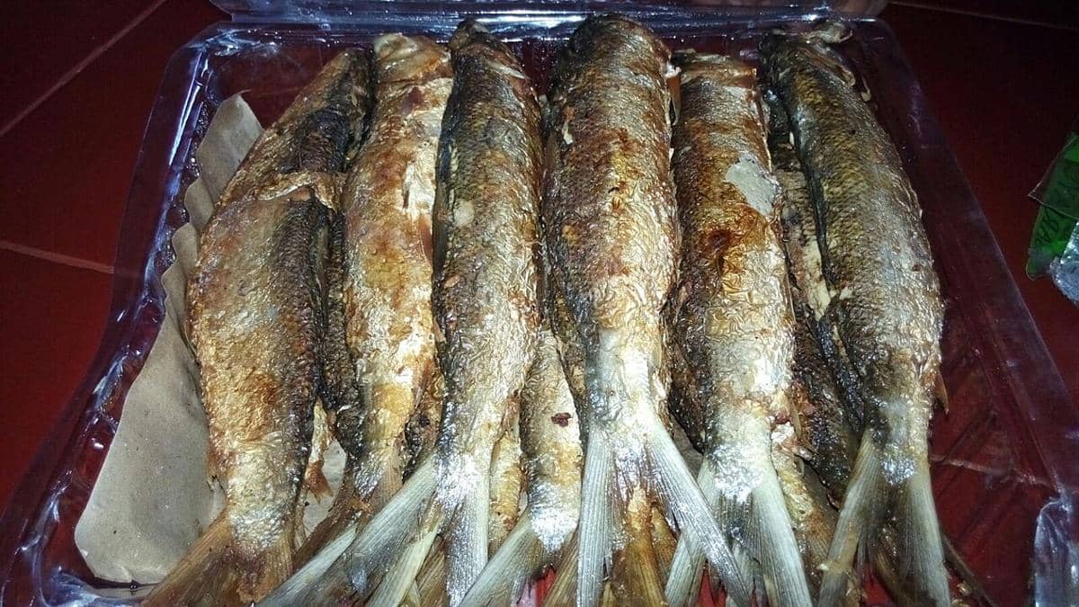 ikan bandeng