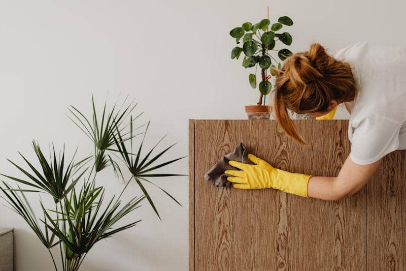 ilustrasi membersihkan furnitur