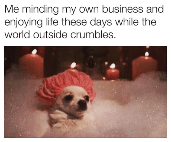 meme fokus mikirin diri sendiri