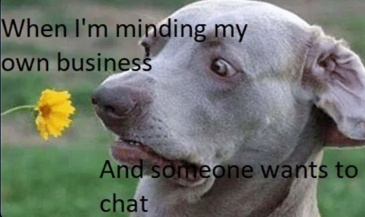 meme fokus mikirin diri sendiri