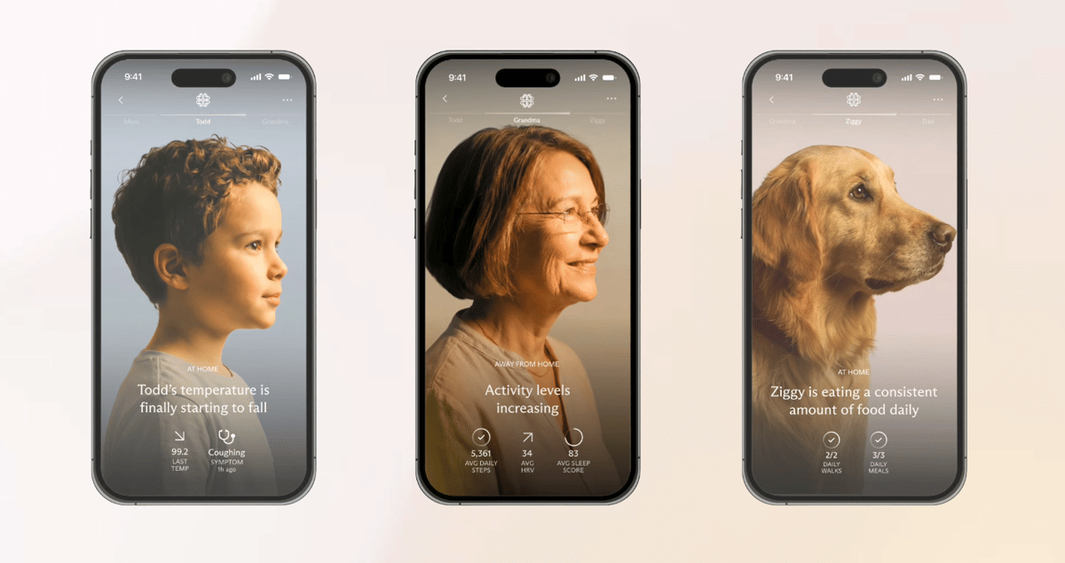 ilustrasi pantau data kesehatan keluarga di aplikasi Luffu